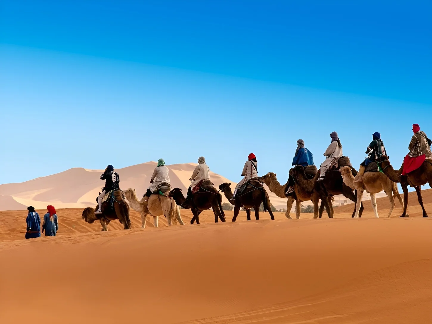 a group of tourists riding camel in the middle of the sahara