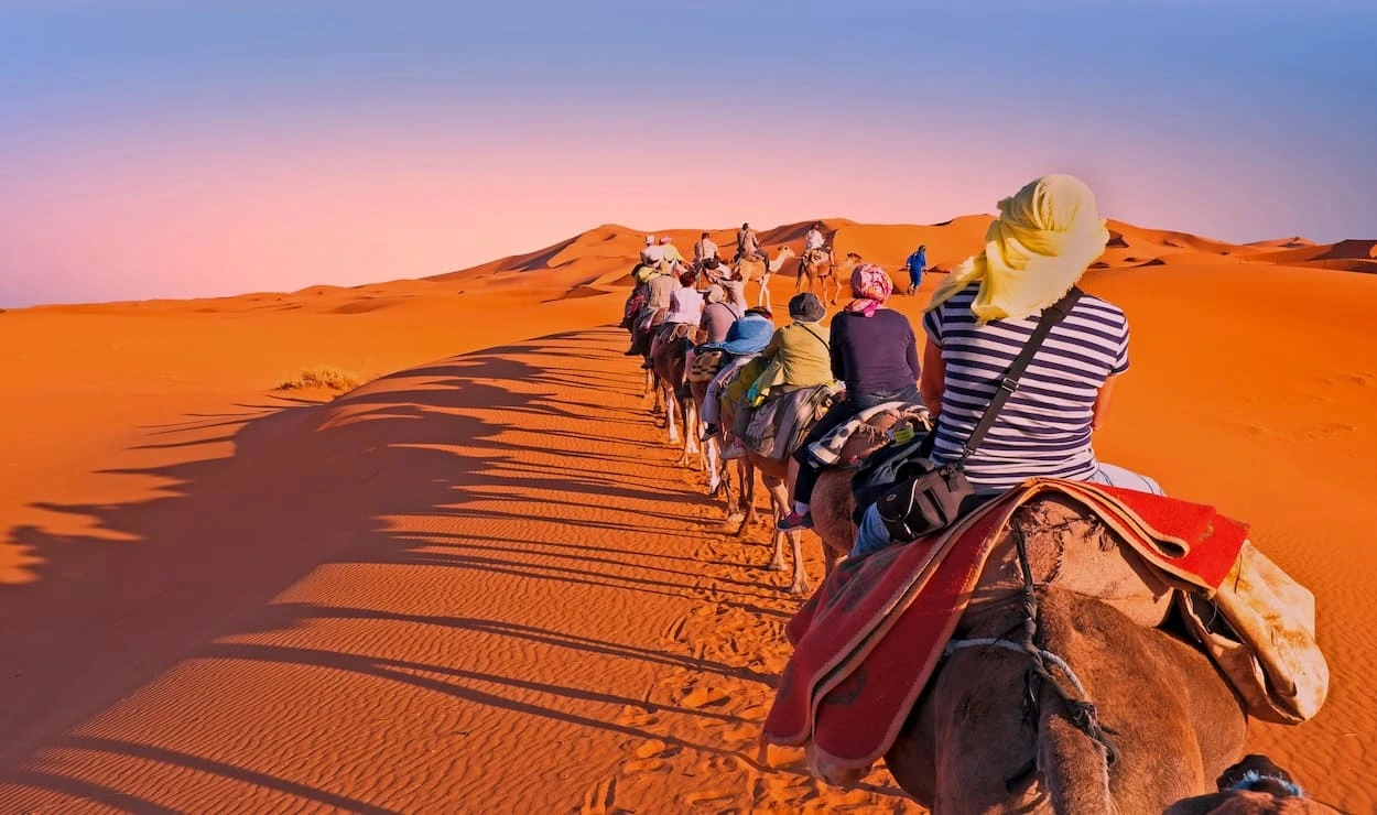 Camel Ride in the Desert