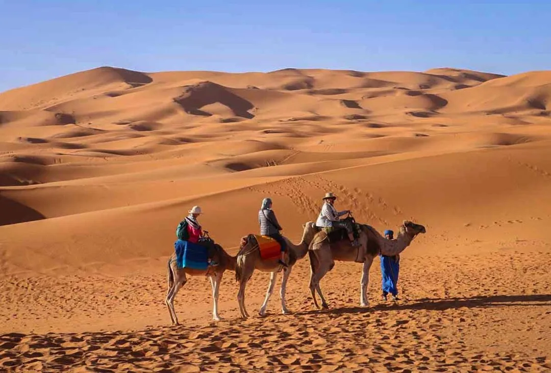 groupe of tourists riding camels in the middle of the desert
