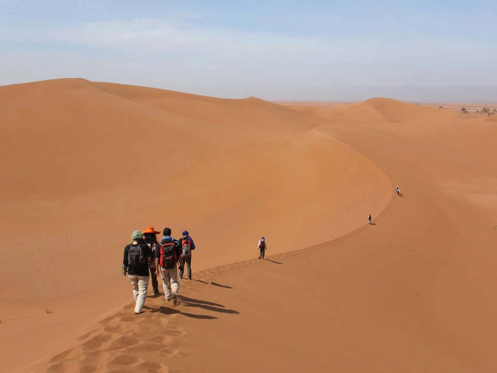 group walking in sahara